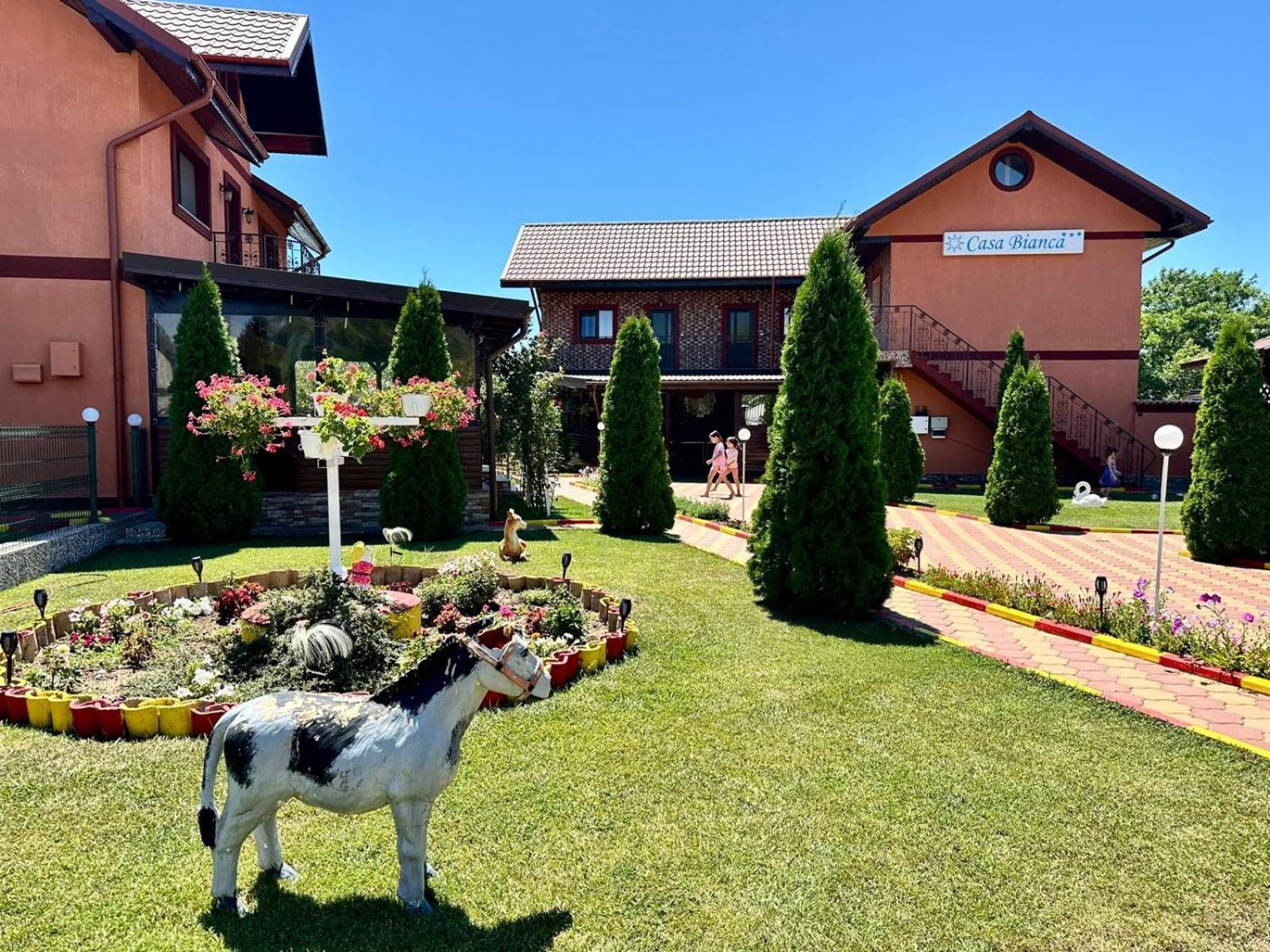 Hotel Pensiunea Bianca Corbu  Exteriér fotografie