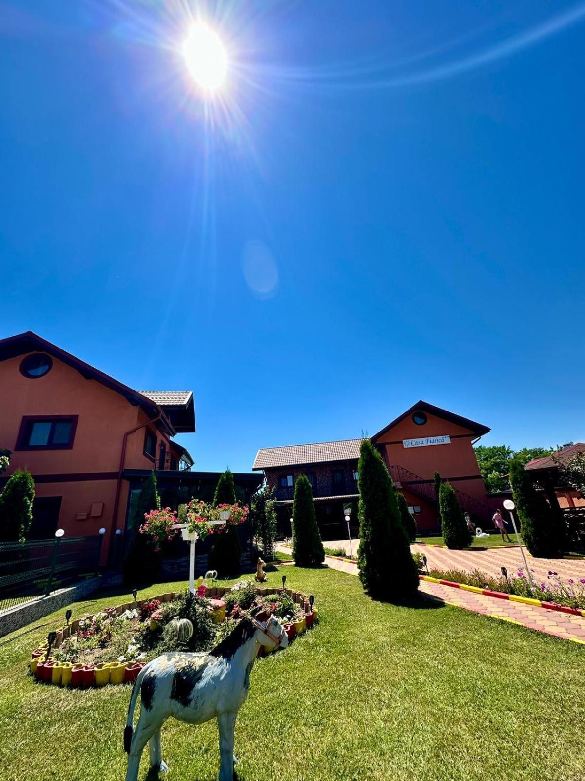 Hotel Pensiunea Bianca Corbu  Exteriér fotografie