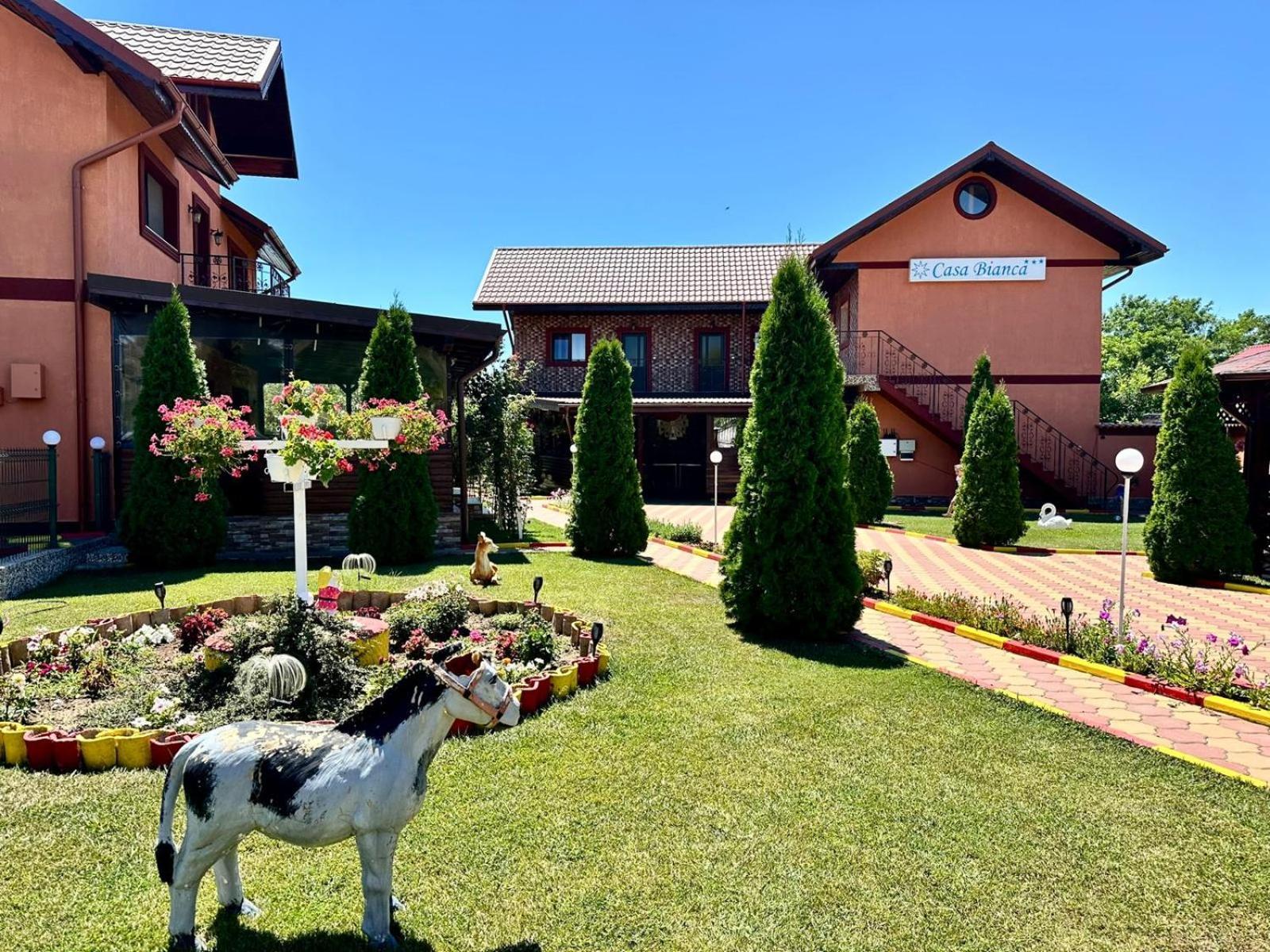 Hotel Pensiunea Bianca Corbu  Exteriér fotografie