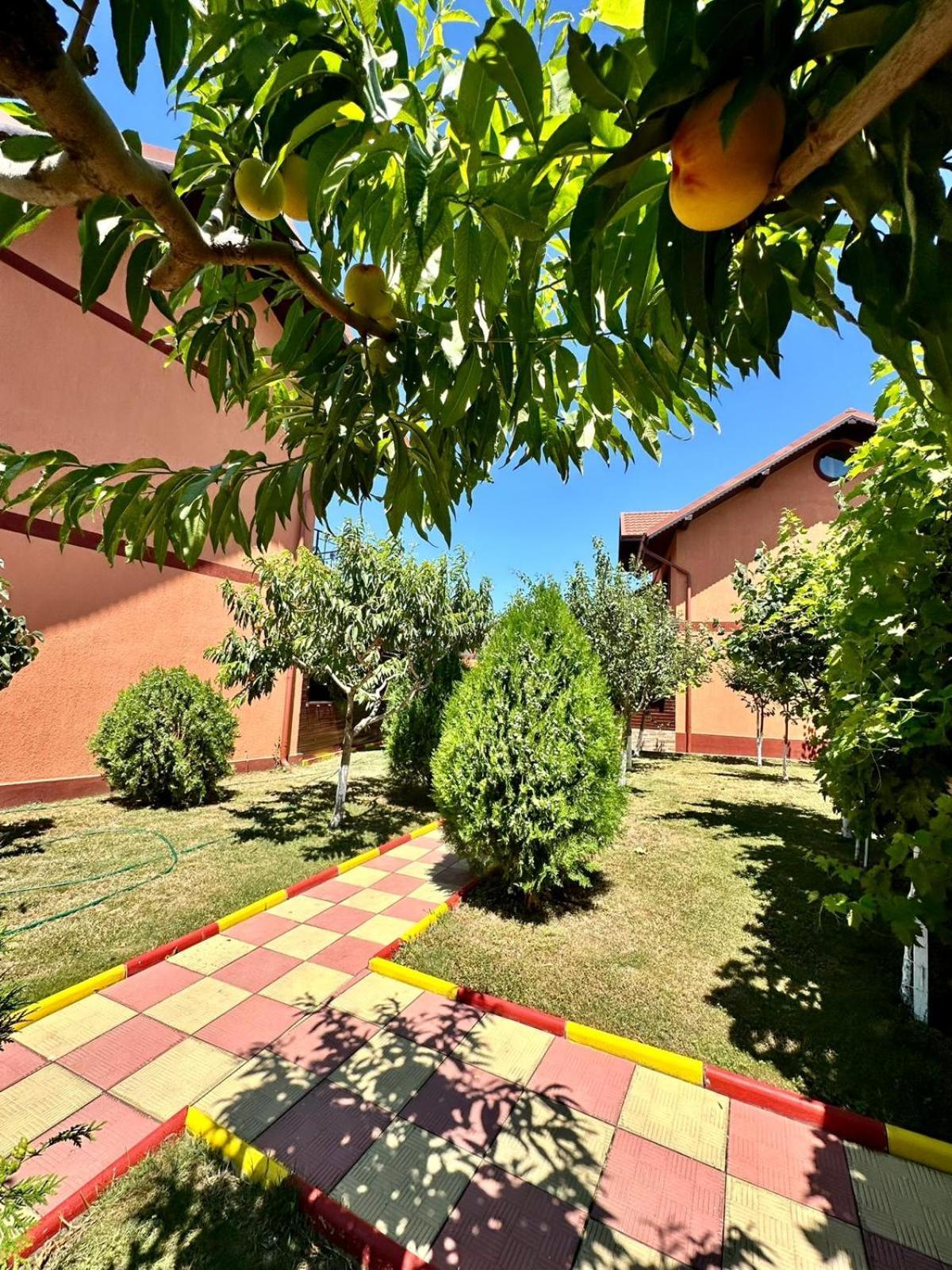 Hotel Pensiunea Bianca Corbu  Exteriér fotografie